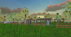 Animal Town