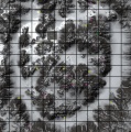 Thumbnail for version as of 18:17, 5 January 2023
