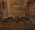 Thumbnail for version as of 04:46, 3 October 2024