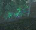 Thumbnail for version as of 08:41, 24 November 2022
