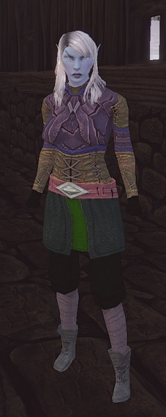 File:Landri the Cold (npc).jpg