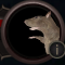 Giant Rat