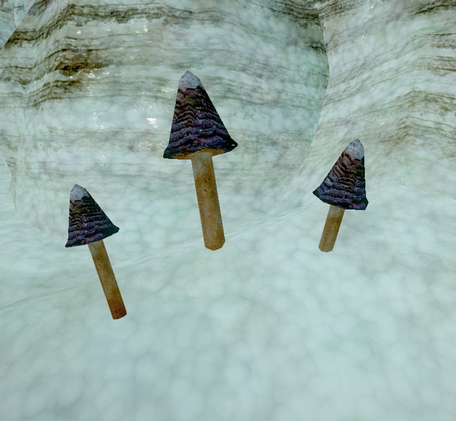 File:BlackFootMorel2.png