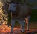Thumbnail for version as of 22:05, 25 January 2022